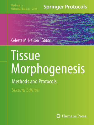 cover image of Tissue Morphogenesis